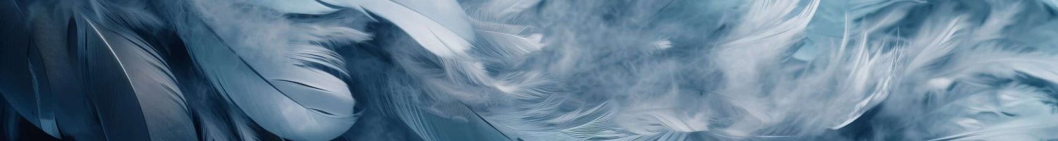 feather backgrounds Hintergrund Federn Blau